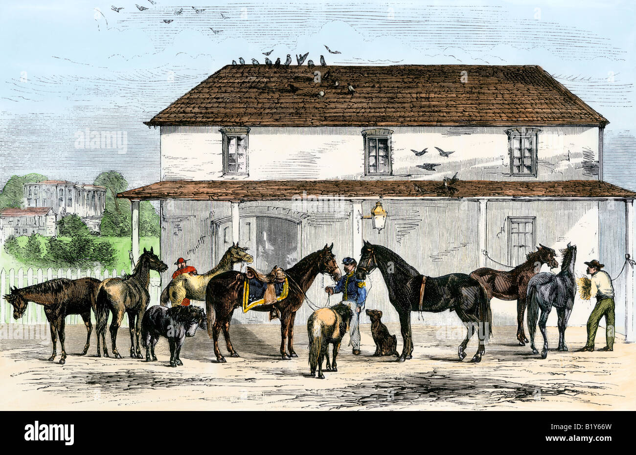 White House stable with horses and family ponies of President Grant 1869. Hand-colored woodcut Stock Photo