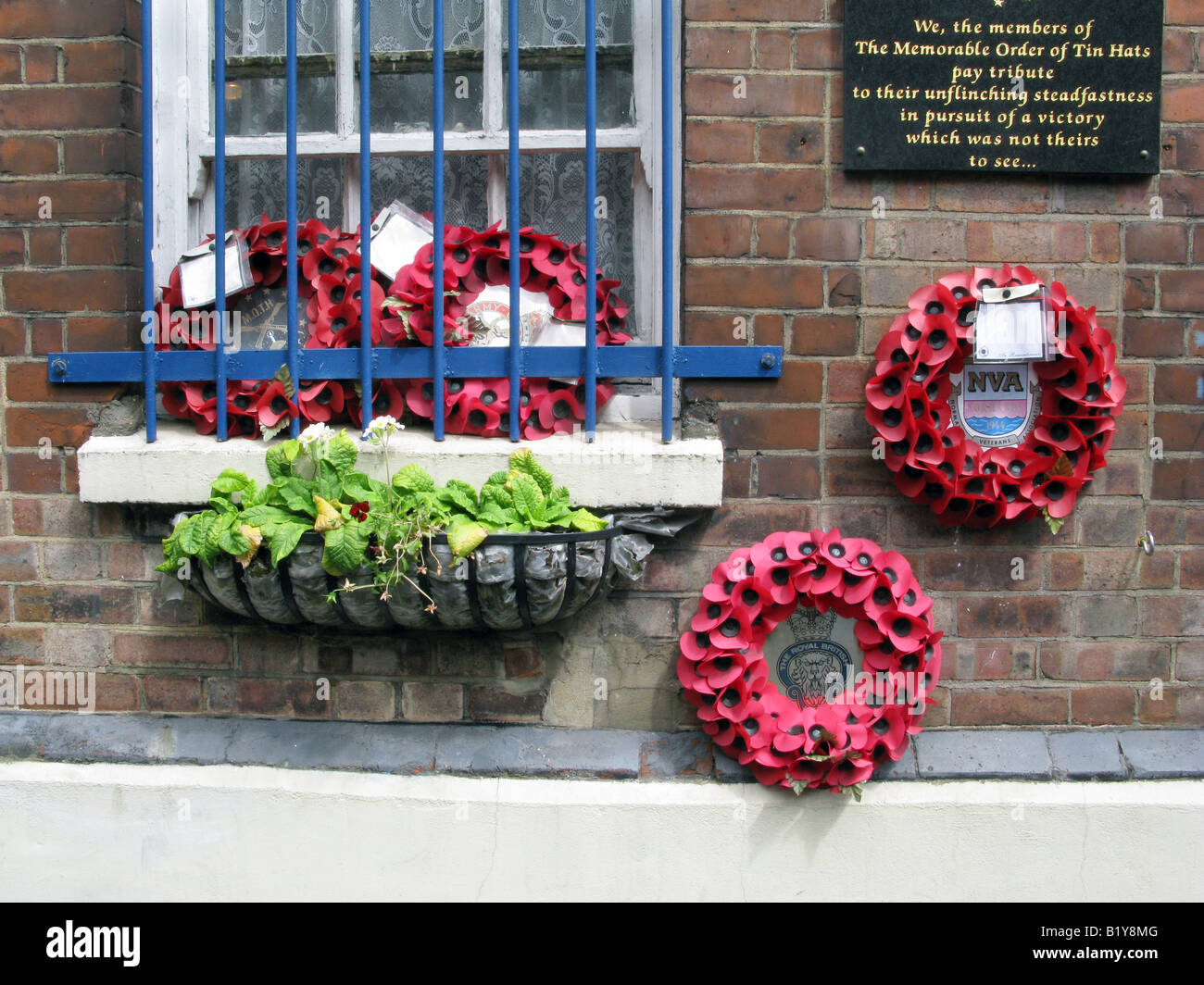 UK British Legion plaque at the Memorable order of Tin Hats office with poppies on window , London. Photo © Julio Etchart Stock Photo