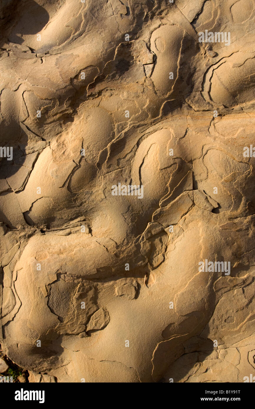 Ripple forms on rock Stock Photo - Alamy