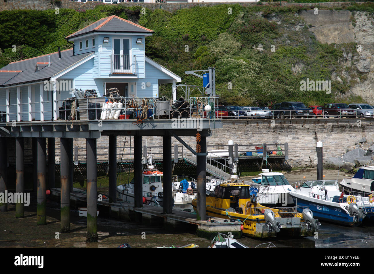 Fish Market Ventnor Isle of Wight UK Stock Photo Alamy