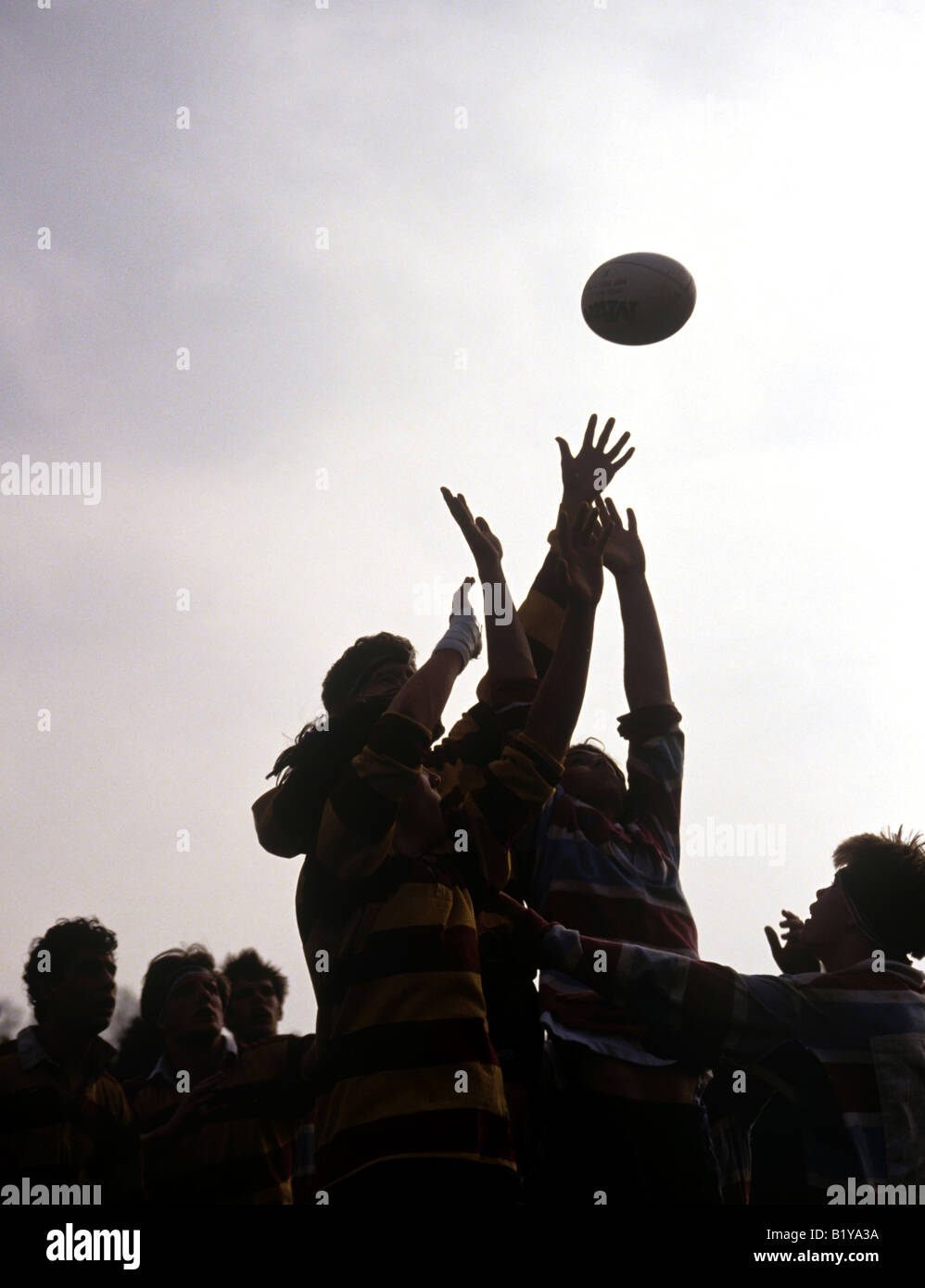 Eng Rugby Line Out Rugby line out hands hi-res stock photography and images - Alamy