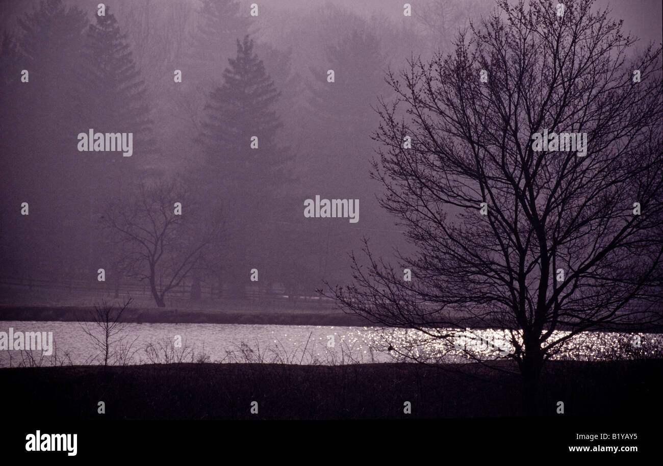 Meteorological mist hi-res stock photography and images - Alamy