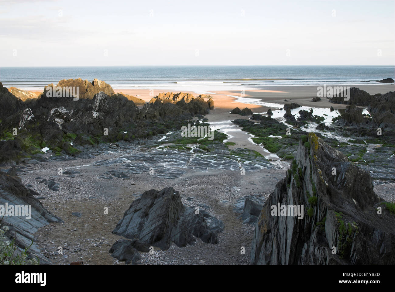 Barricane Beach, Devon Stock Photo Alamy