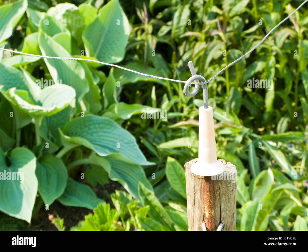 Electric fence around flower bed to prevent deer damage Stock Photo