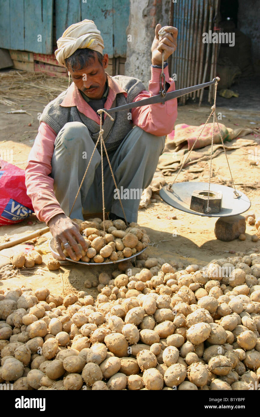 Vendor weighing potatoes at a vegetable market, Varanasi Stock Photo