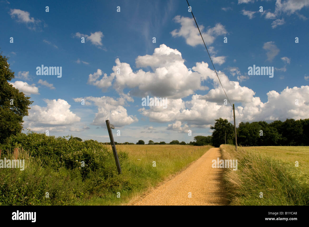 Footpath and track in the essex countryside. Stock Photo