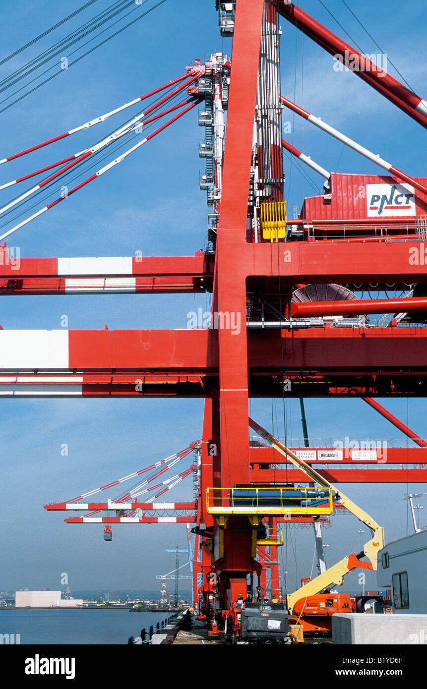 Gantry loading cranes for cargo shipping. Port harbor or harbor dock