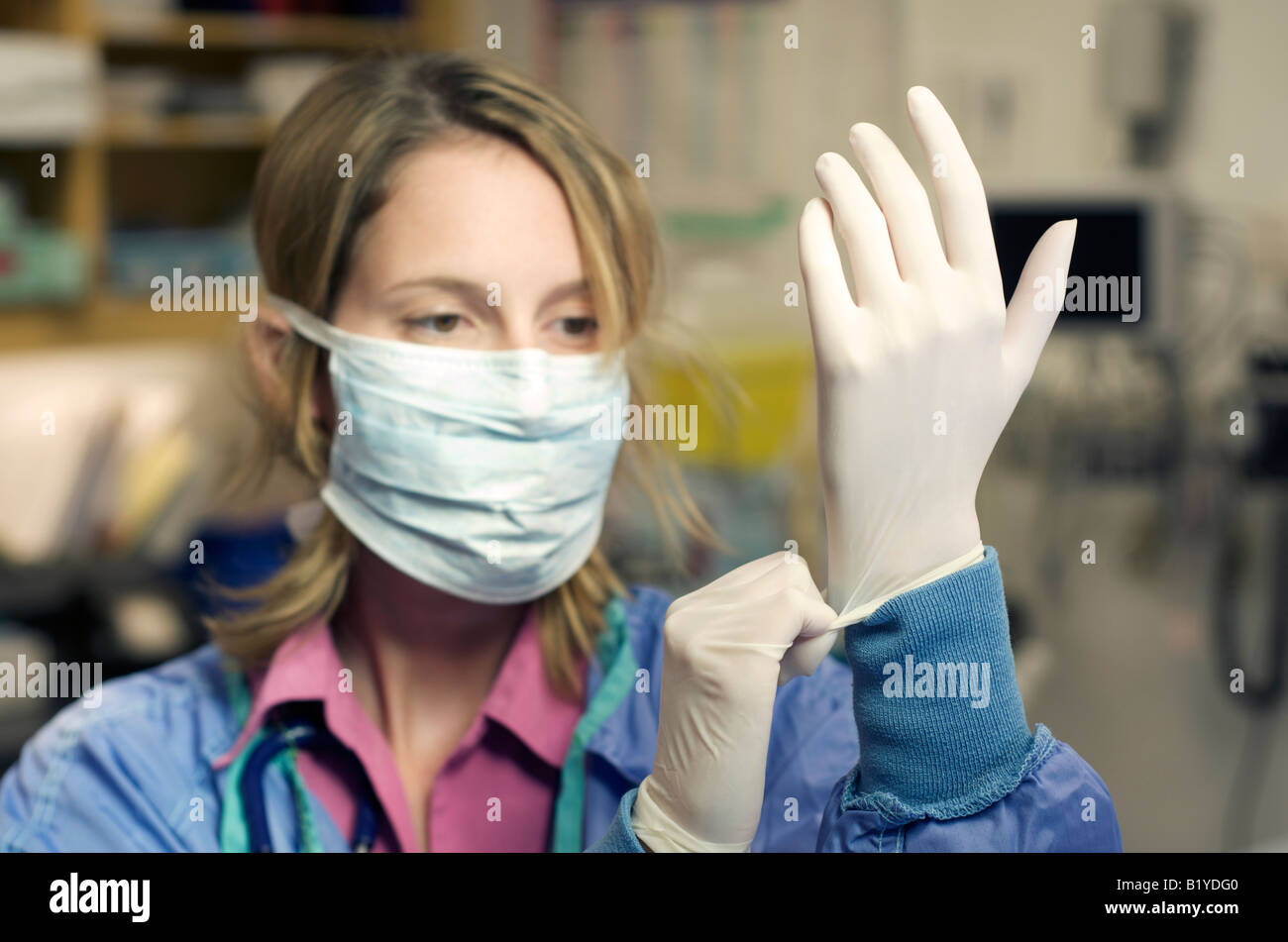 Female nurse in scrubs with face mask putting gloves on. Hospital