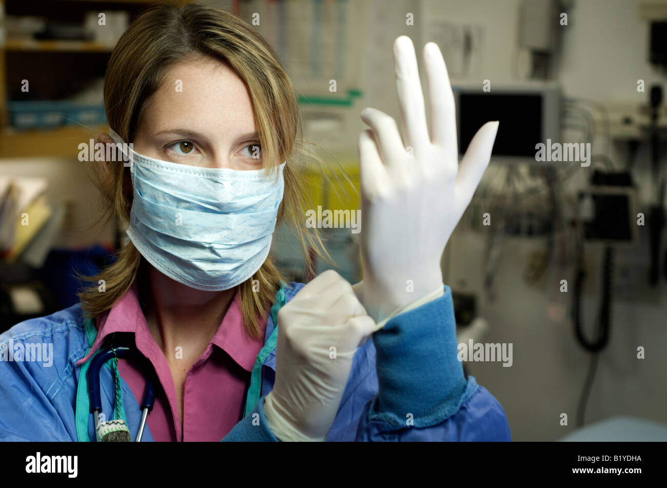 Female nurse in scrubs with face mask putting gloves on. Hospital