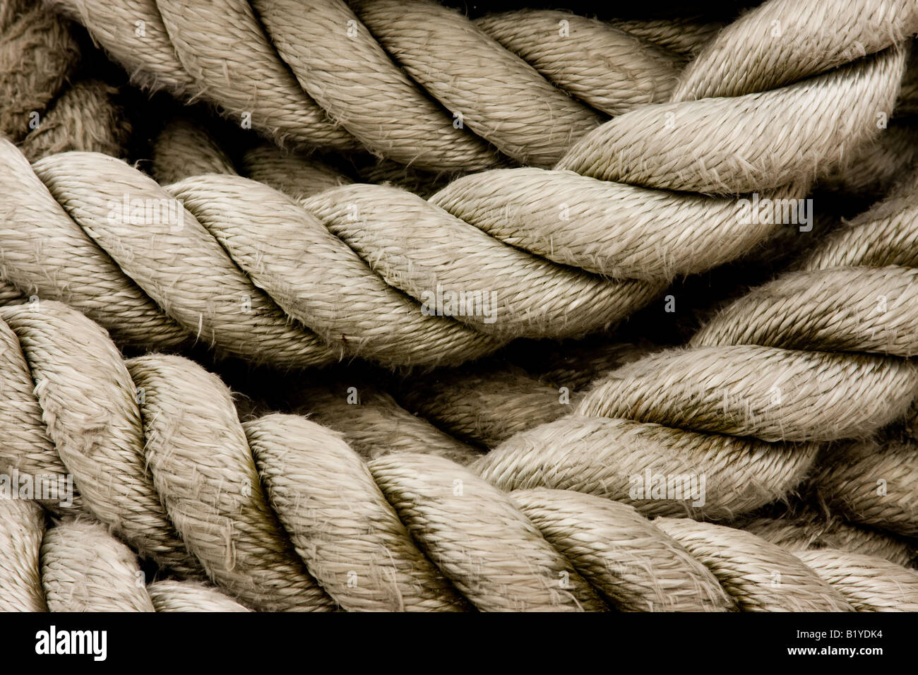 Photo by Tiffany Lines, - Nautical Rope