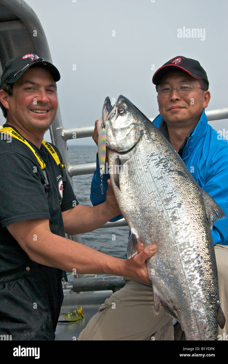 Chinook fish - salmon prince Chinook fish - salmon prince
