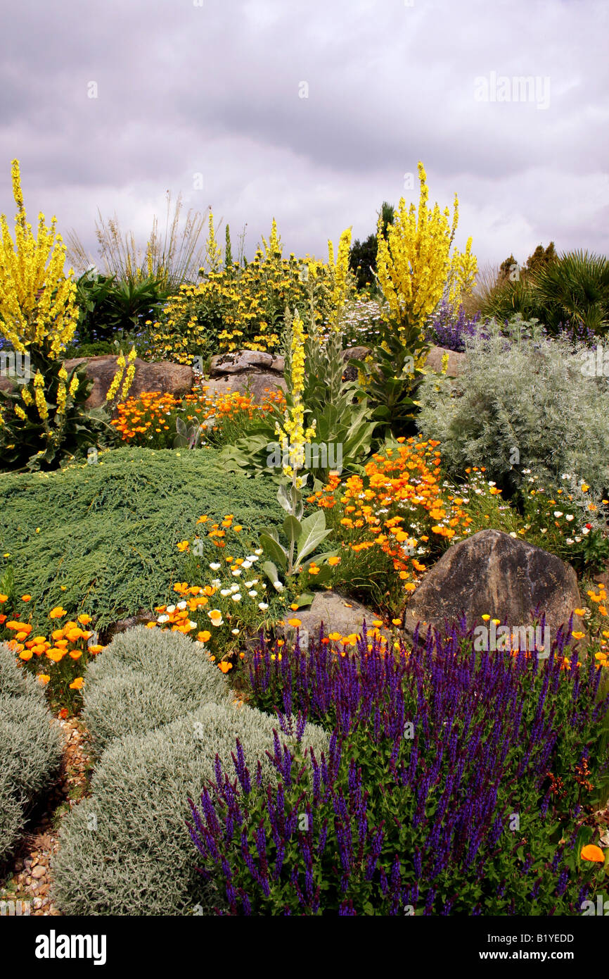 THE DRY GARDEN AT RHS HYDE HALL IN EARLY SUMMER Stock Photo