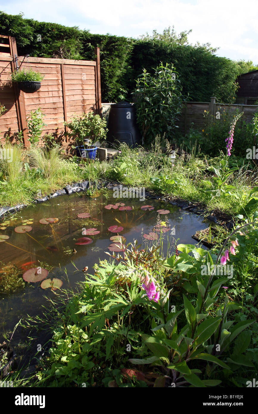A WILDLIFE POND IN A DOMESTIC BACK GARDEN Stock Photo