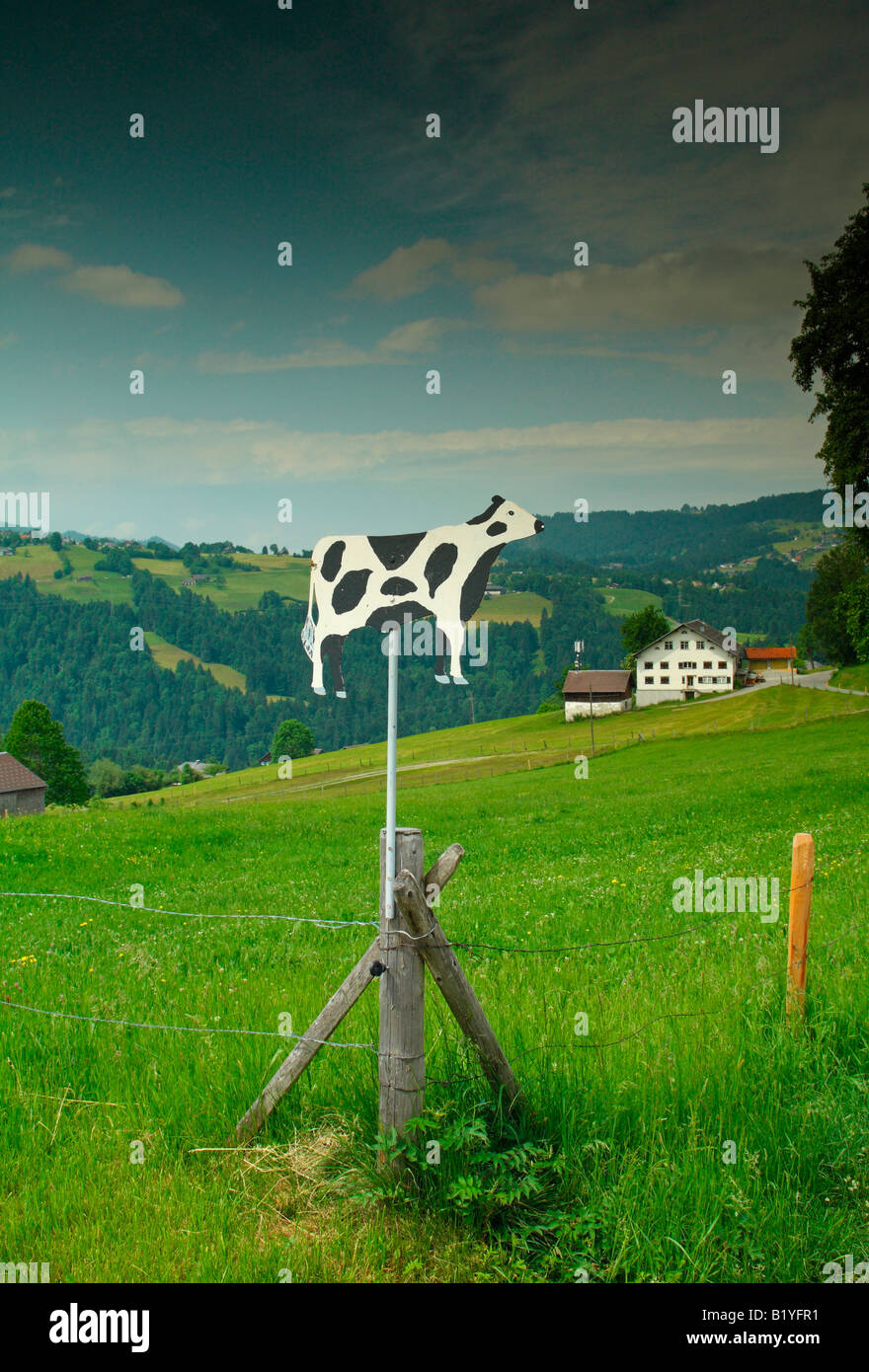 Cow sign, near village of Langenegg, district of Bregenzerwald, Vorarlberg region, Austria Stock Photo