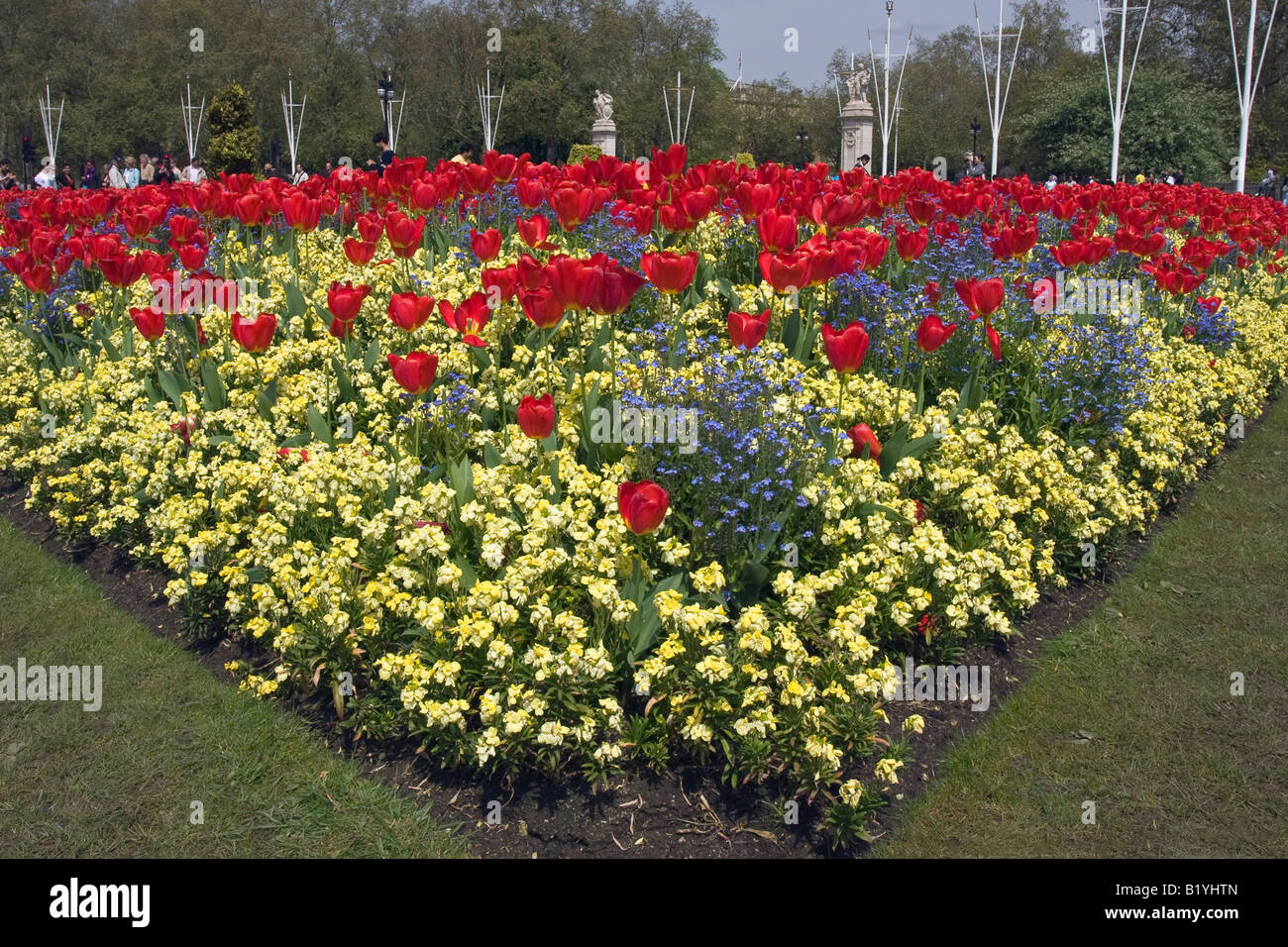 Spring Tulips at Memorial Gardens, near Buckingham Palace Park, London England Stock Photo Alamy
