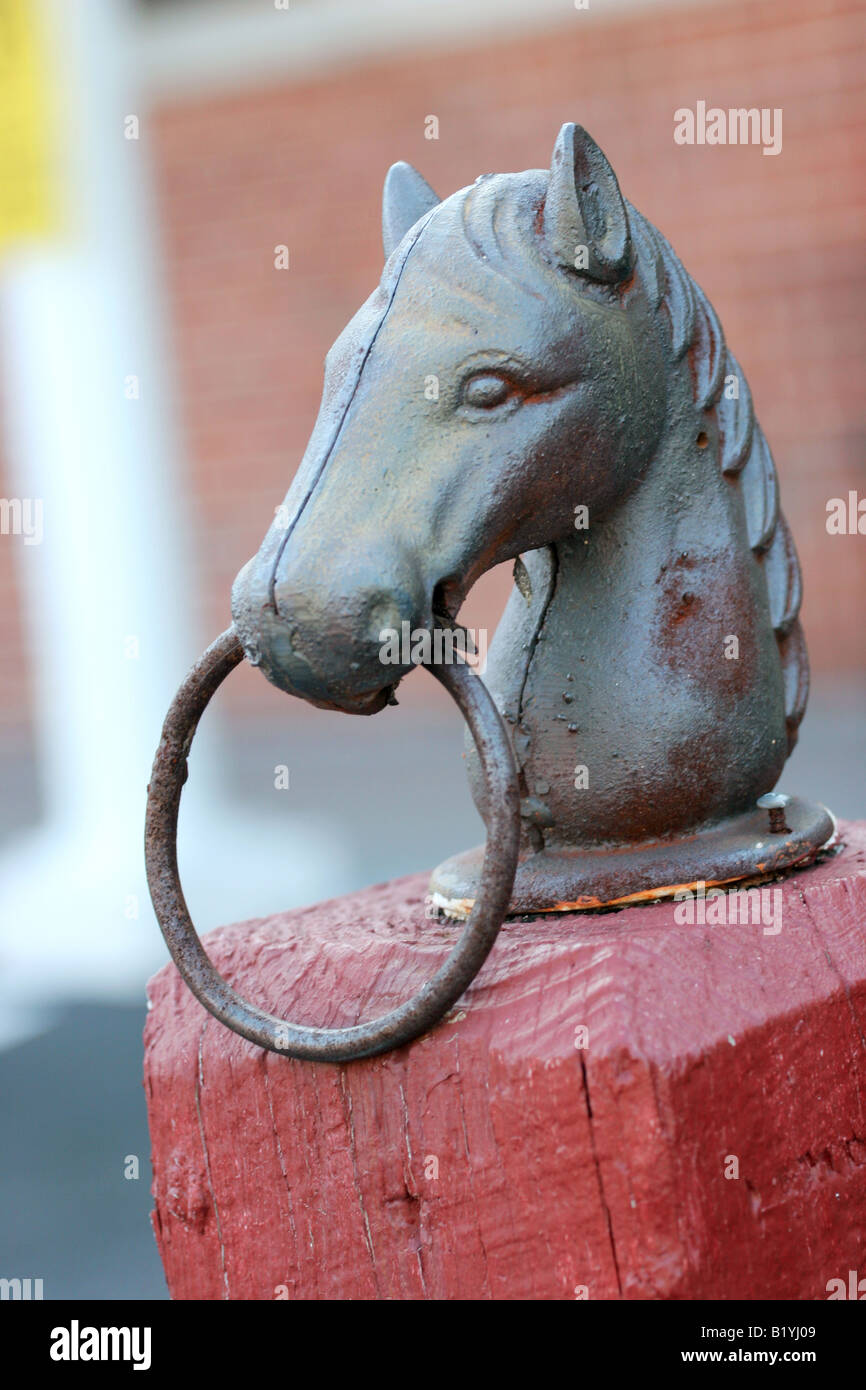 Horse head pole hires stock photography and images Alamy