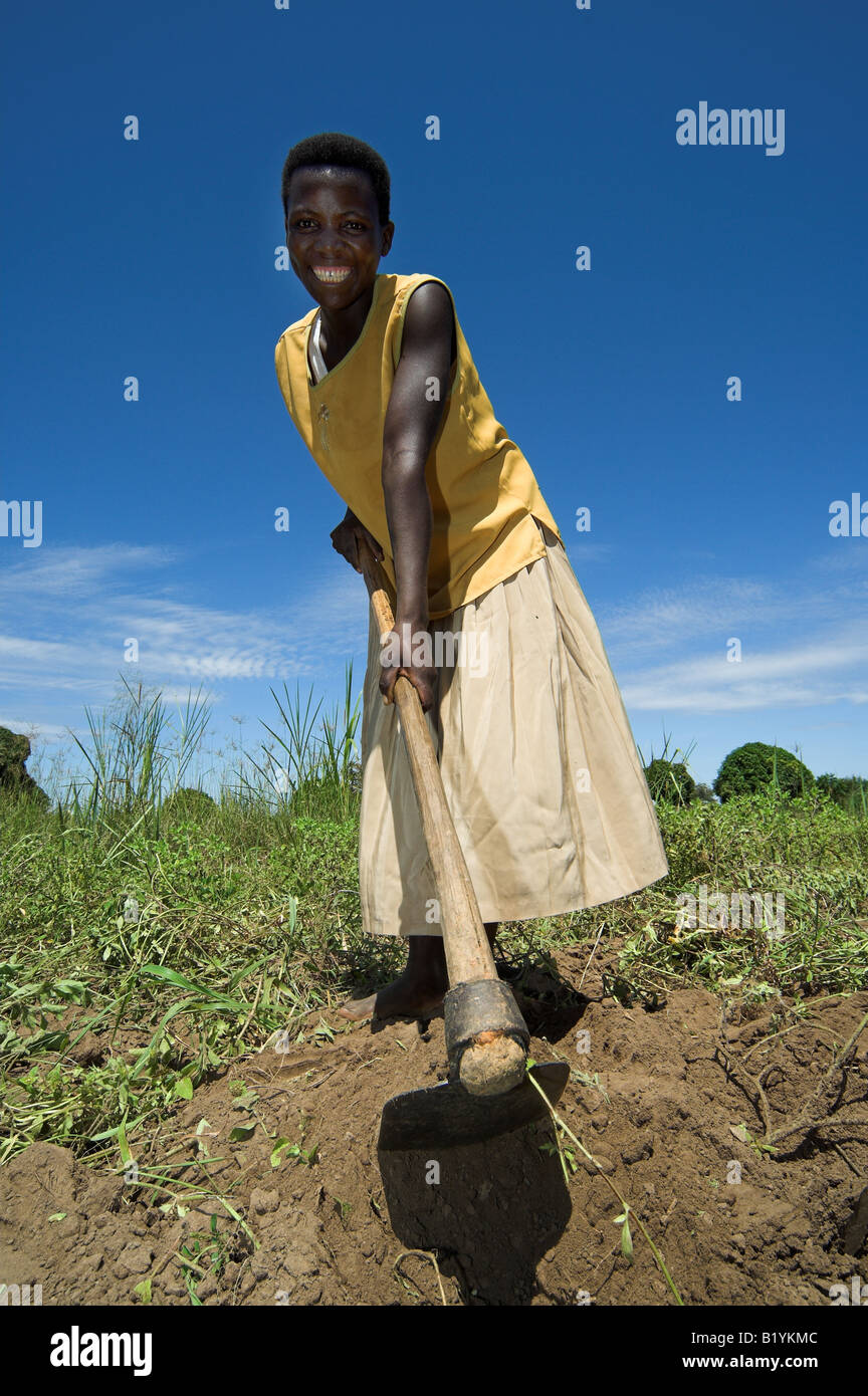 African women in fields cultivating soil with hoes Mbale Uganda Africa Stock Photo