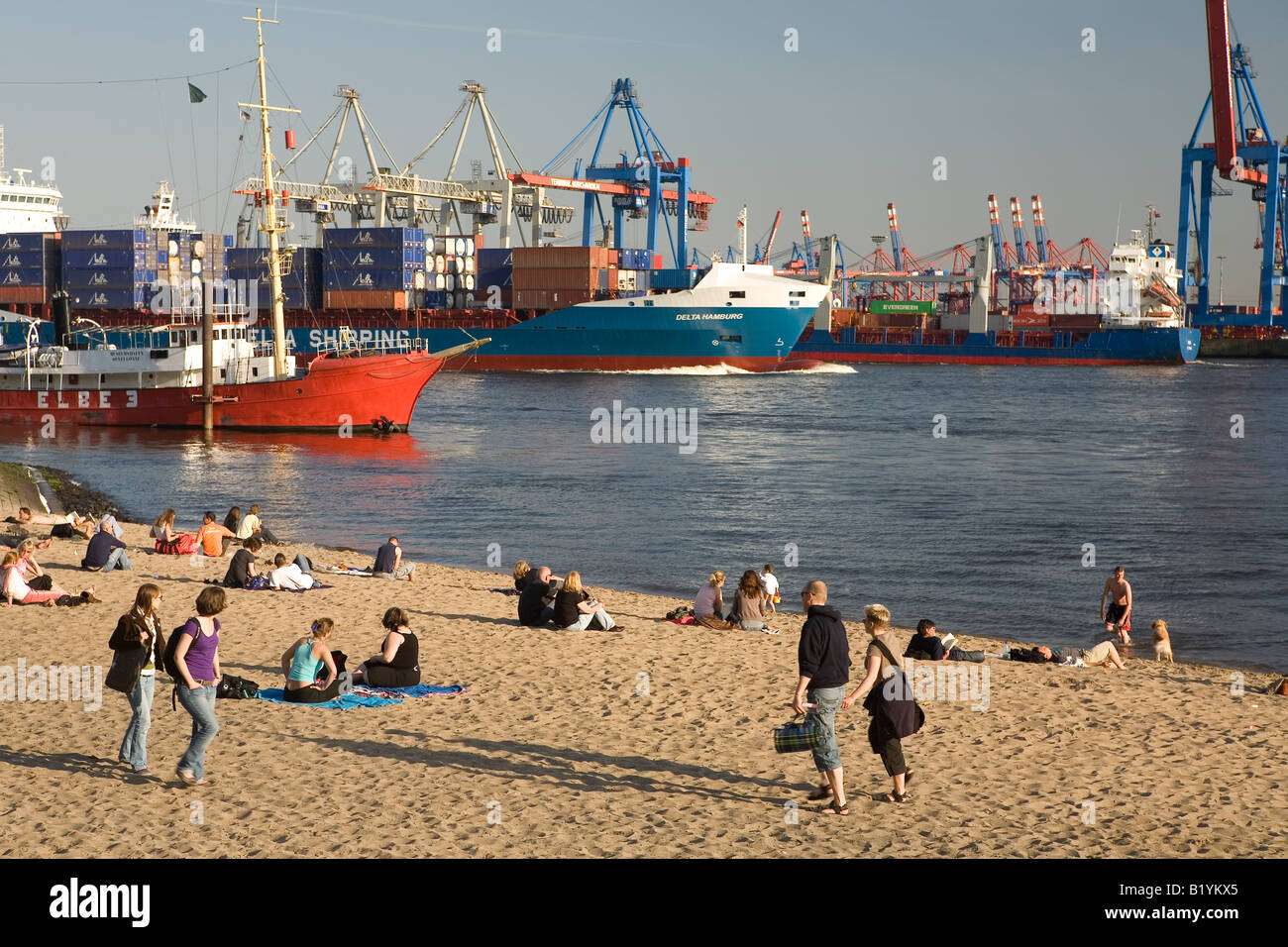 Beach of the Elbe in Oevelgoenne opposite the cranes at Burchard quay in Hamburg Stock Photo