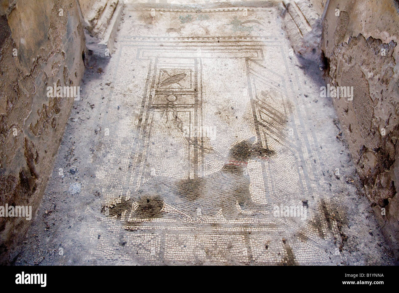 Beware of the dog mosaic sign in villa entrance Pompeii Campania Italy Stock Photo