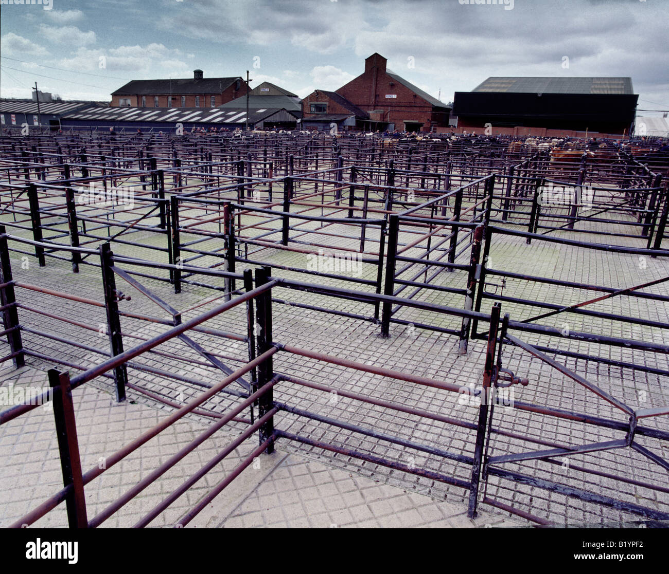 Banbury cattle market hi-res stock photography and images - Alamy