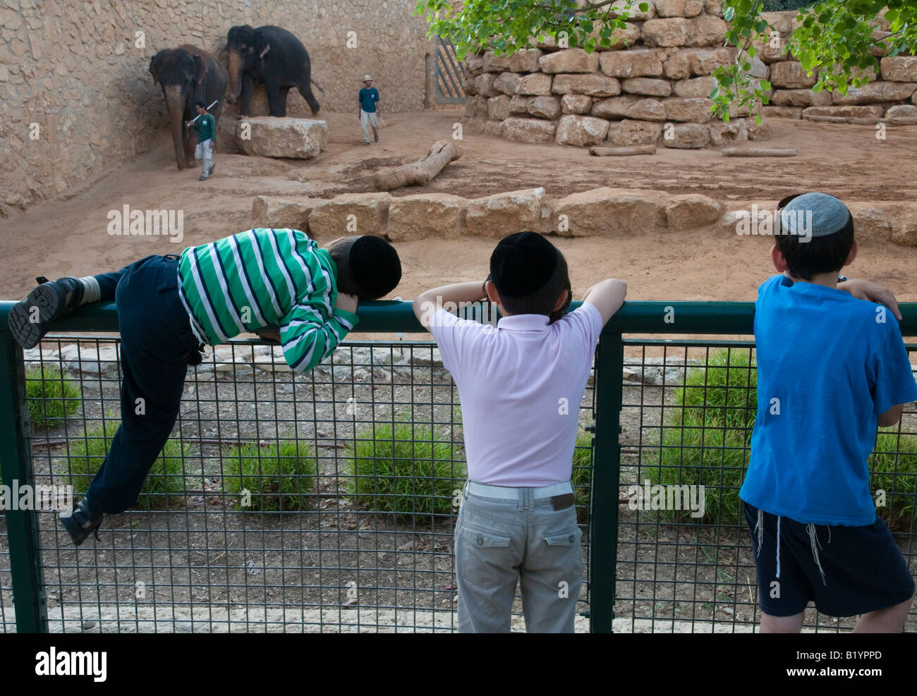 Israel Jerusalem Biblical Zoo family zoological gardens three jewish