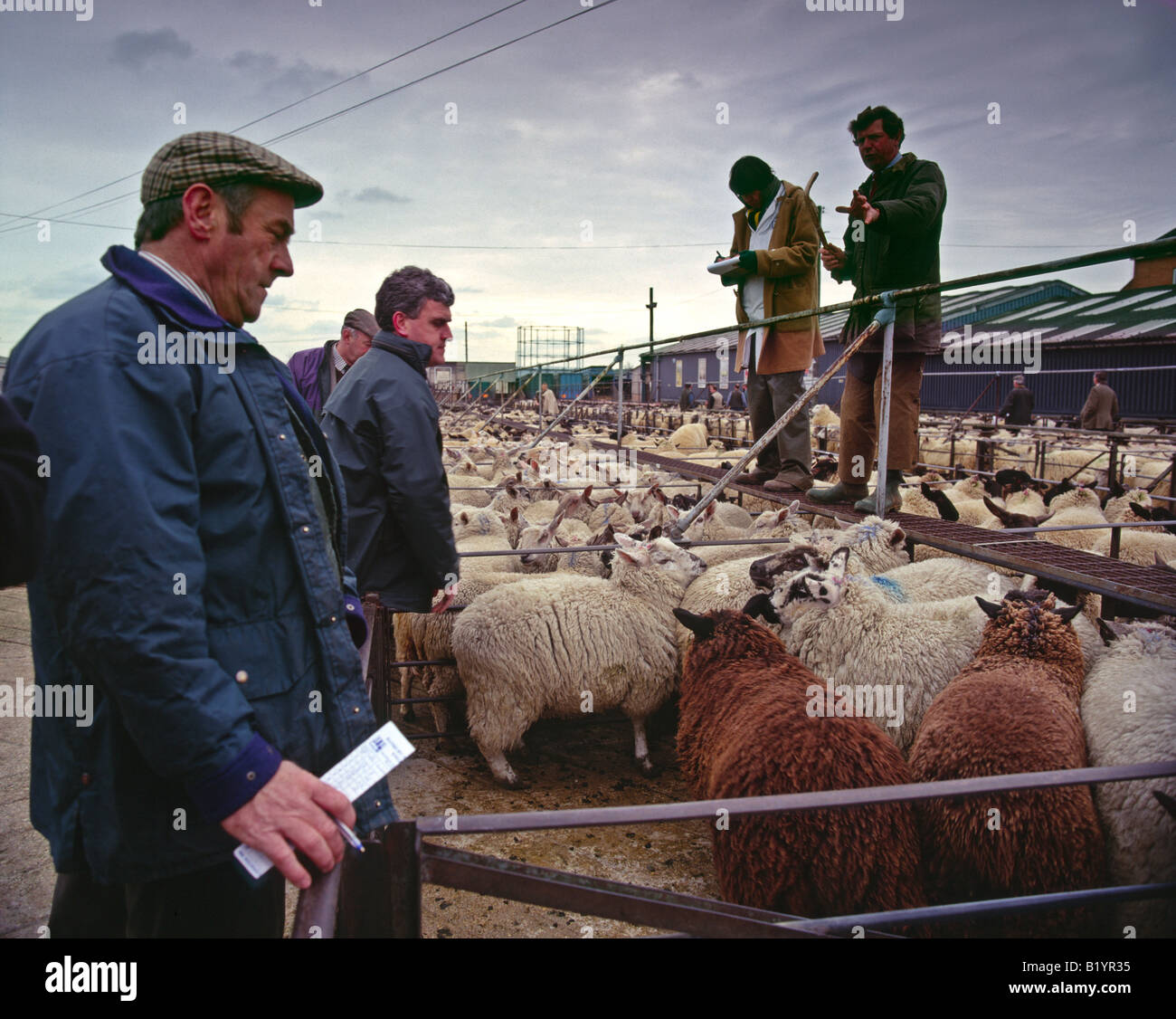 Banbury cattle market hires stock photography and images Alamy