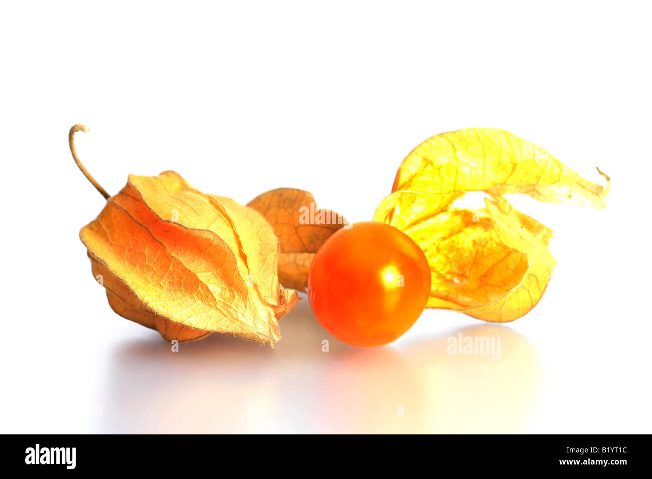 Physalis comestible hi-res stock photography and images - Alamy