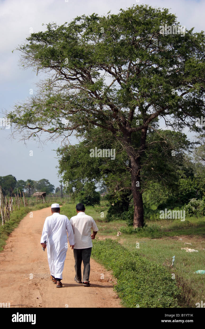 Well social work refugee muslim tree path walking religion hi-res stock ...
