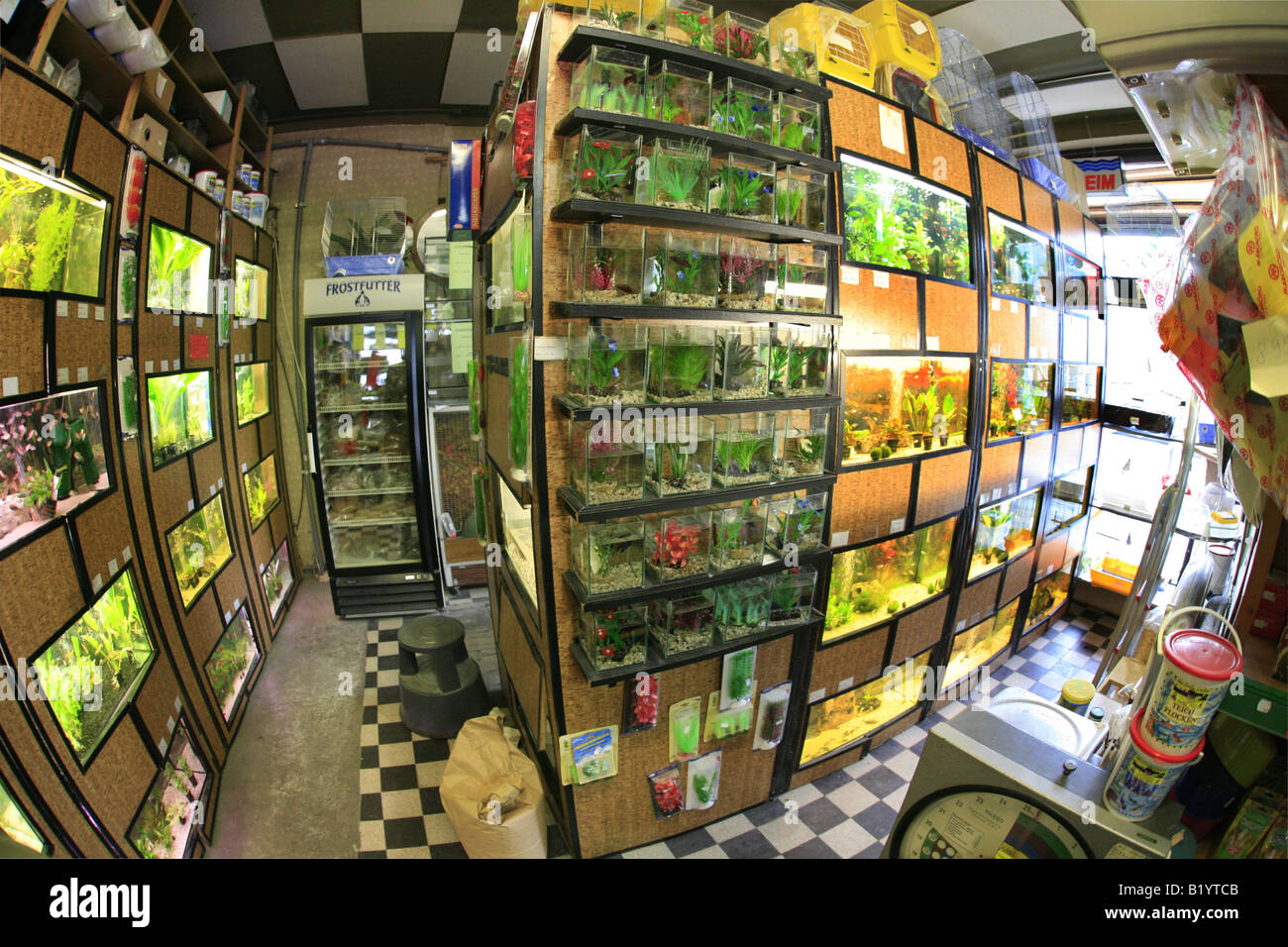 Pet store fish tanks hires stock photography and images Alamy