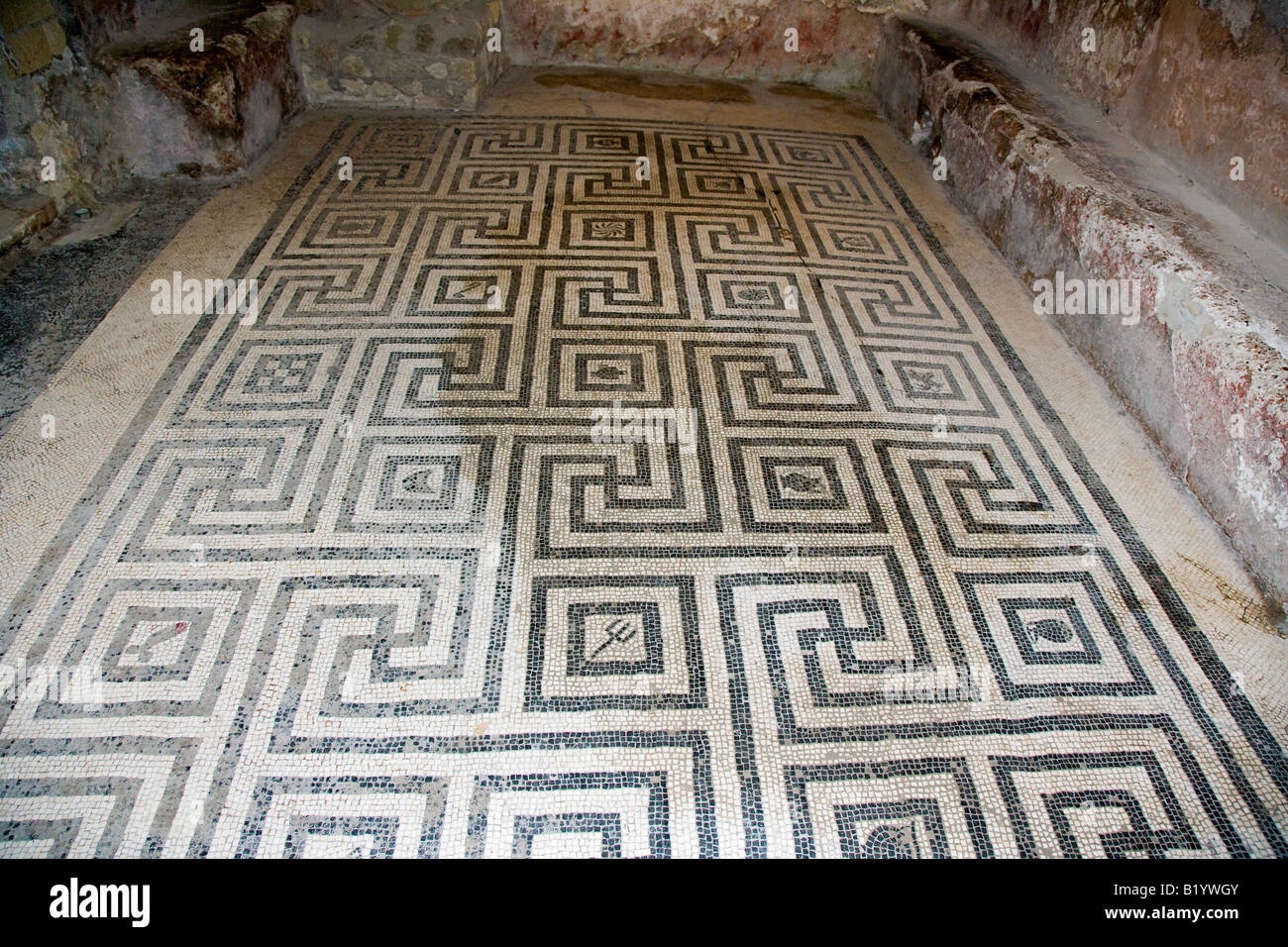 Designs in mosaic on the floor of the baths complex Herculaneum Italy Stock Photo