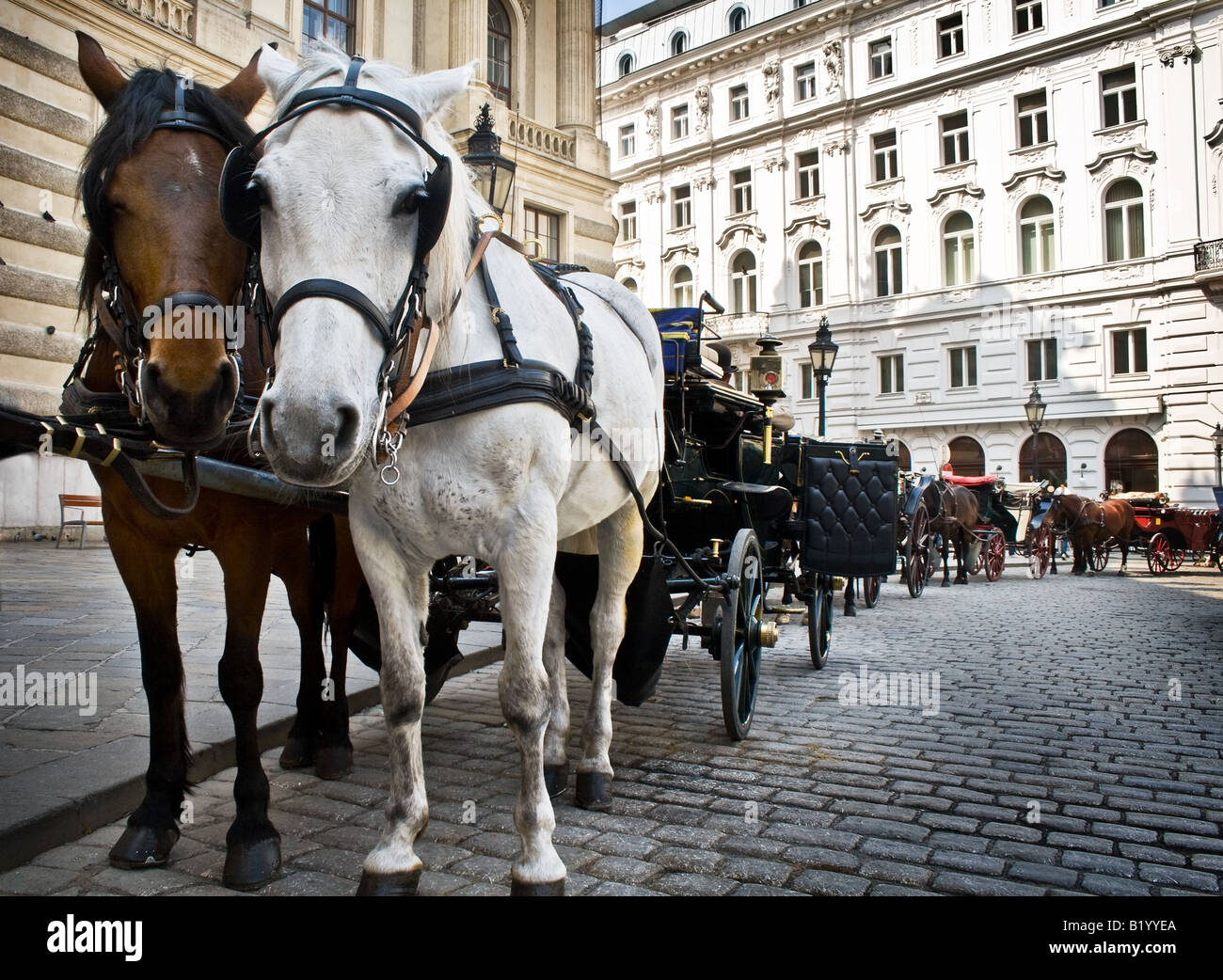 Horse driven carriage at Hofburg palace Vienna Austria Stock Photo