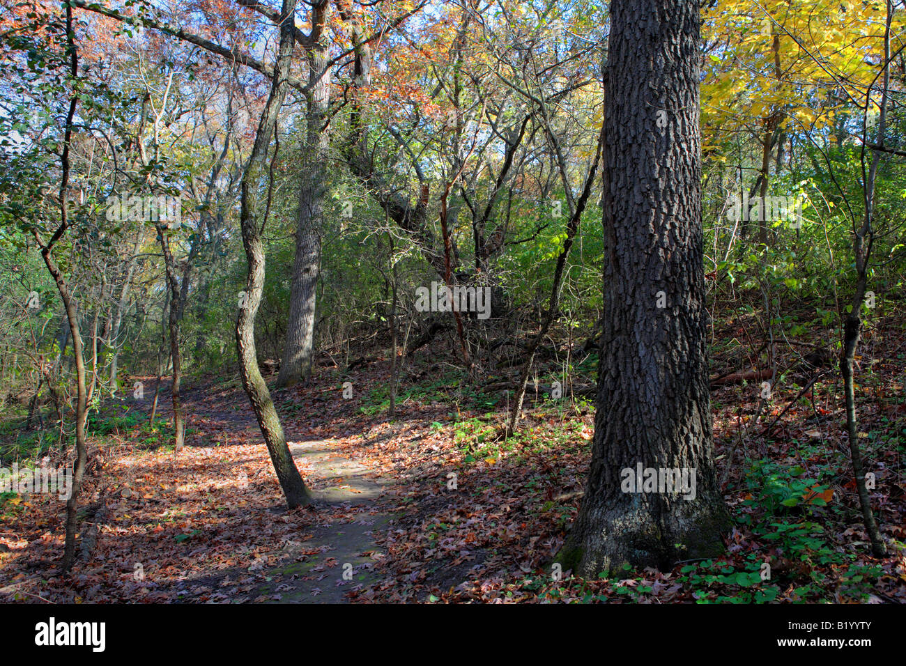 ICE AGE TRAIL BETWEEN EASTERLY ROAD AND KETTLE MORAINE DRIVE IN KETTLE