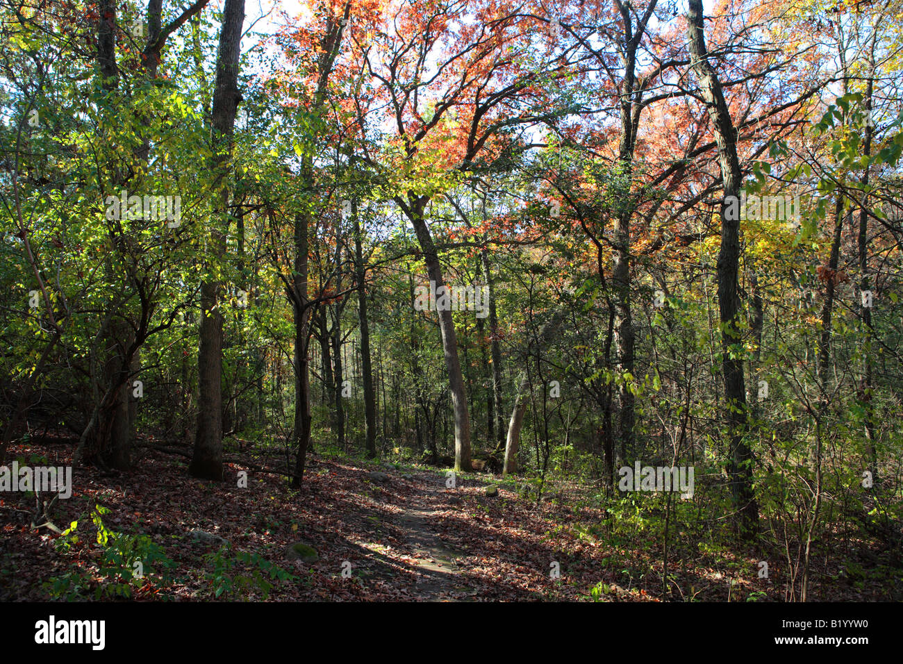 ICE AGE TRAIL BETWEEN EASTERLY ROAD AND KETTLE MORAINE DRIVE IN KETTLE
