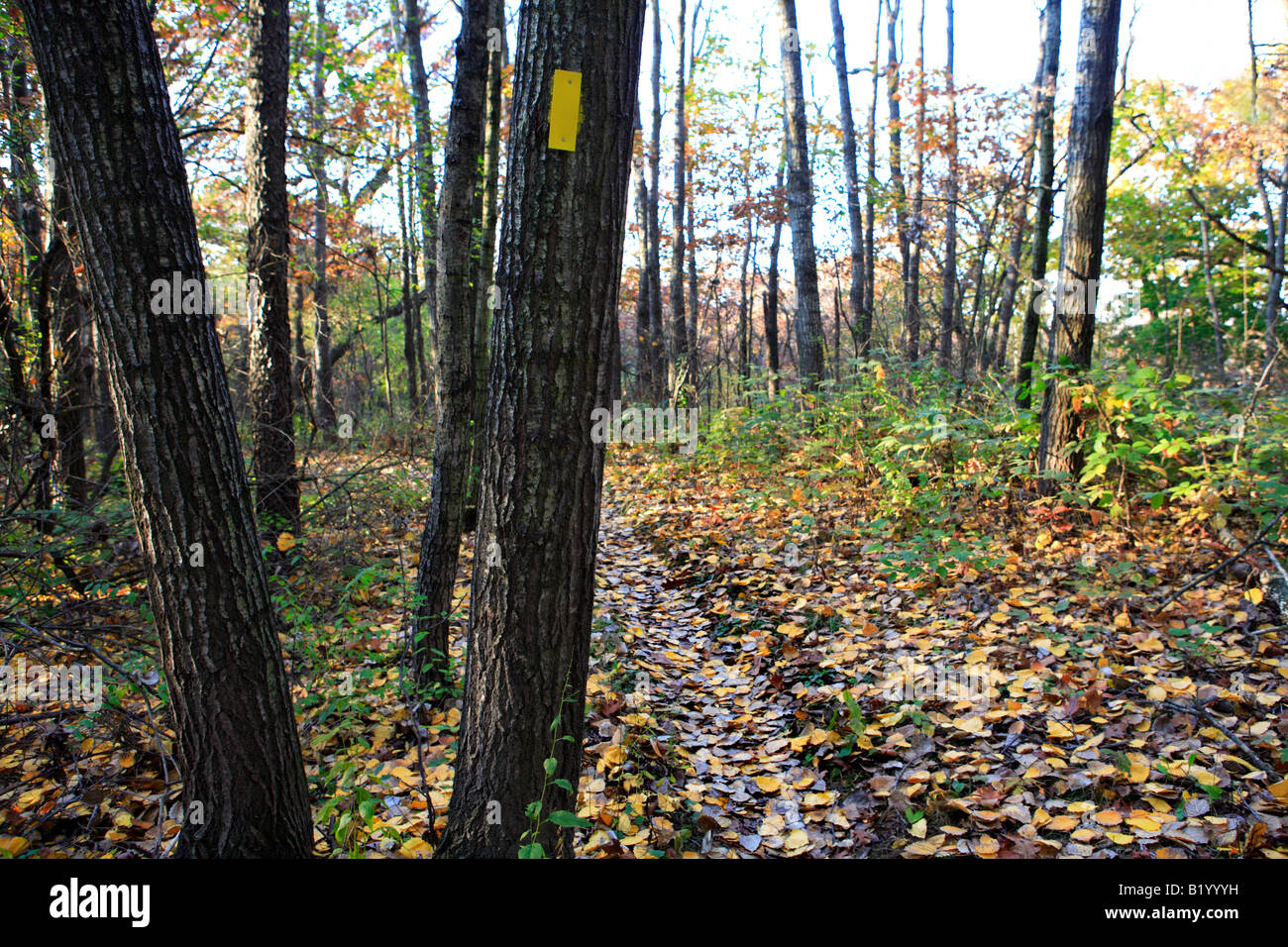 ICE AGE TRAIL BETWEEN EASTERLY ROAD AND KETTLE MORAINE DRIVE IN KETTLE