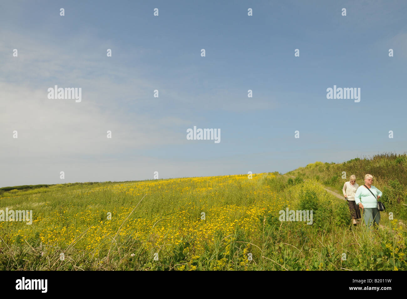 Two ladies walking through a field in Conwall. Stock Photo