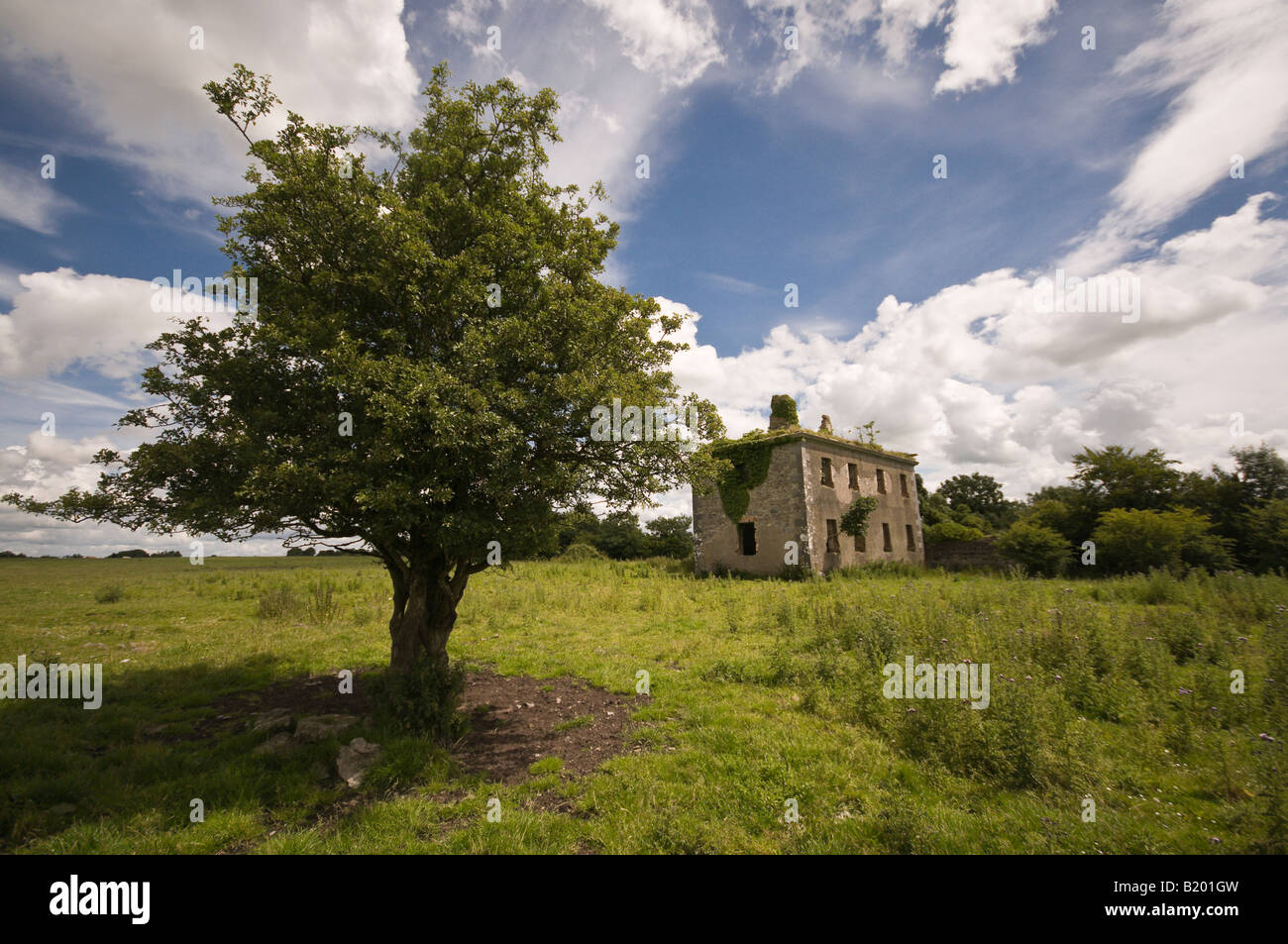 'Fairy Tree' outside a derelict House, Neale, County Mayo Stock Photo