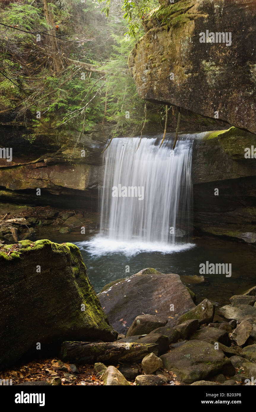 Dog Slaughter Falls Daniel Boone National Forest Kentucky Stock Photo ...