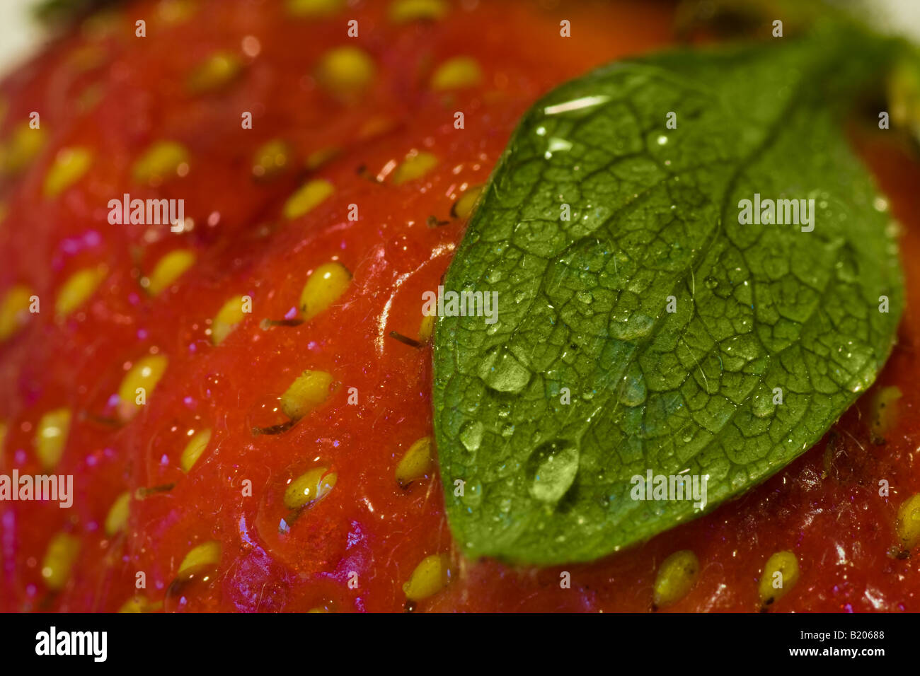 Macro Strawberry with water droplets Stock Photo - Alamy