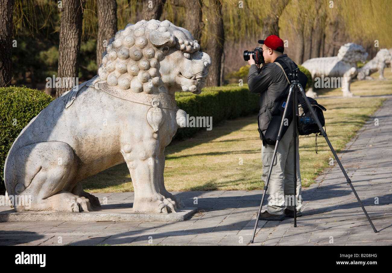 Man photographs stone statue of crouching lion Spirit Way Ming Tombs Beijing Peking China Stock Photo