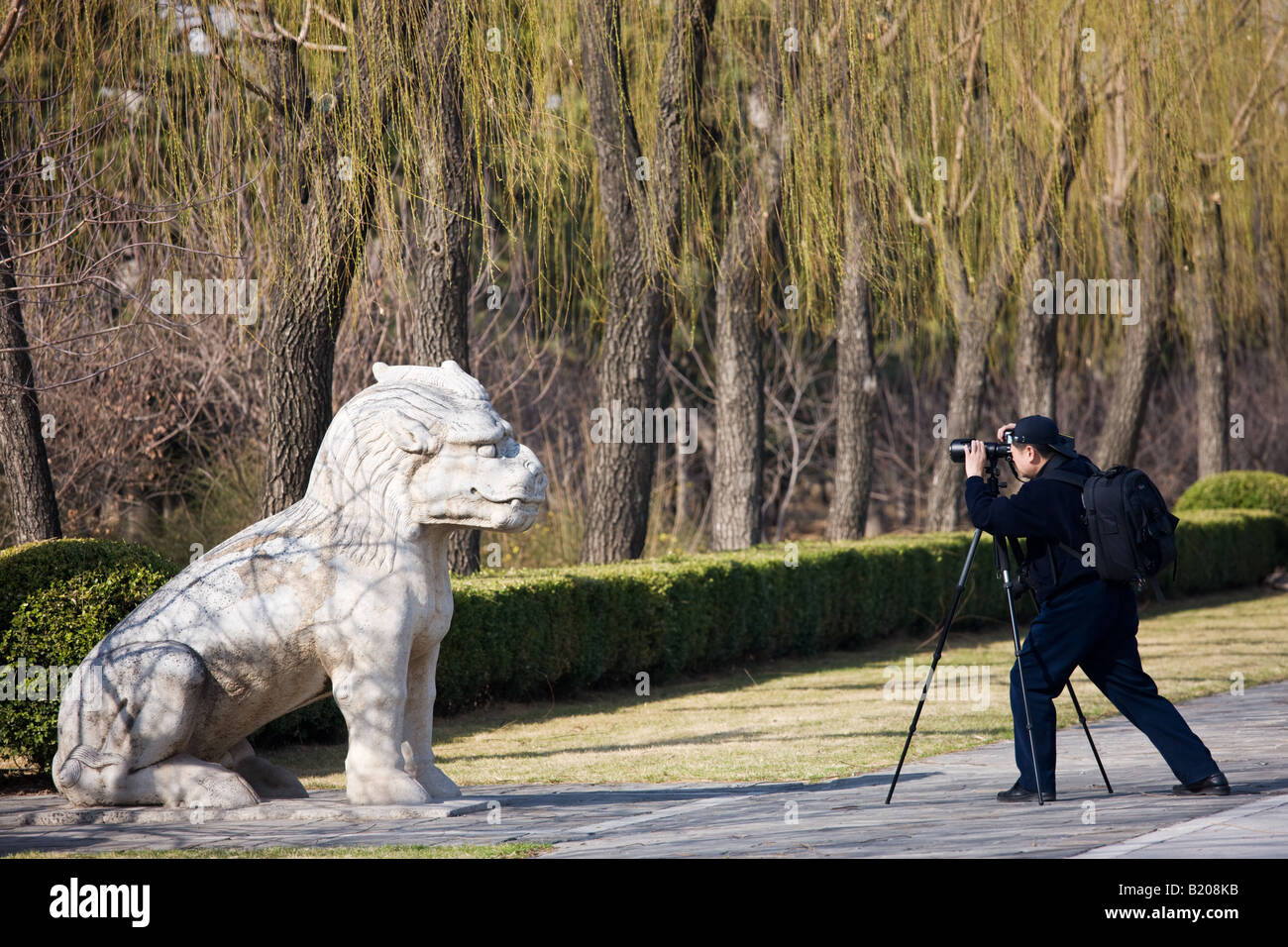 Man photographs statue of crouching Xiezi a mythical Chinese Unicorn Spirit Way Ming Tombs Beijing China Stock Photo