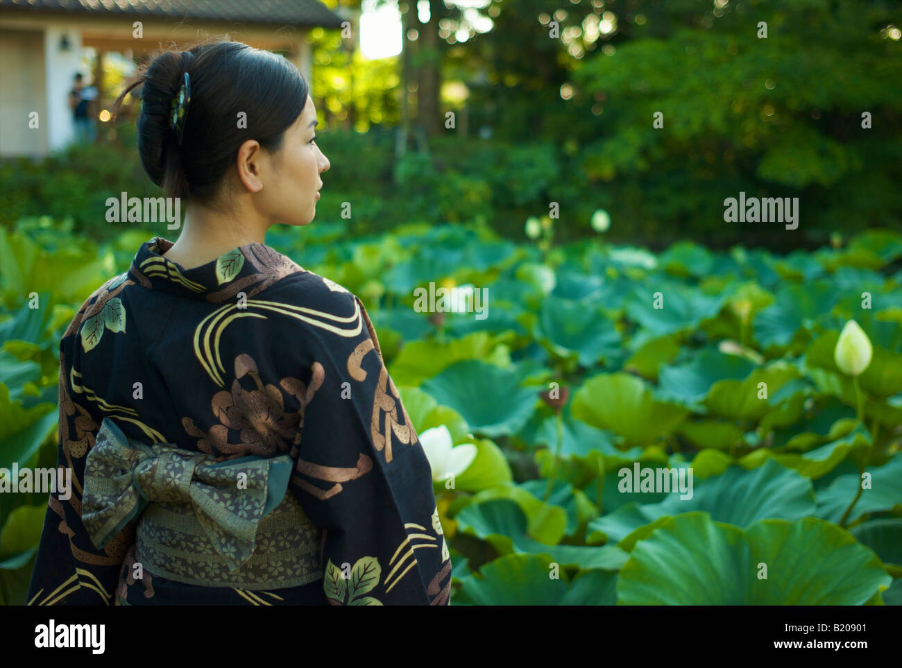 Japanese Woman wearing a Kimono reflecting across a Lotus Pond Stock