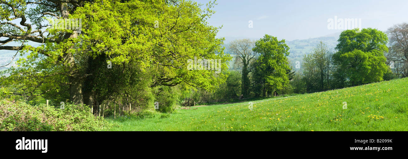 Farmland near Talybont-on-Usk, Powys, Wales, UK Stock Photo
