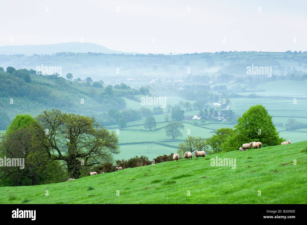 Misty spring dawn in Brecon Beacons at Stanton, Monmouthshire, Wales, UK Stock Photo
