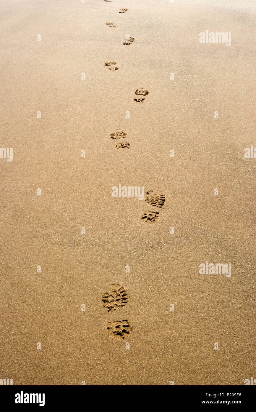 Footprints on sandy beach. UK Stock Photo