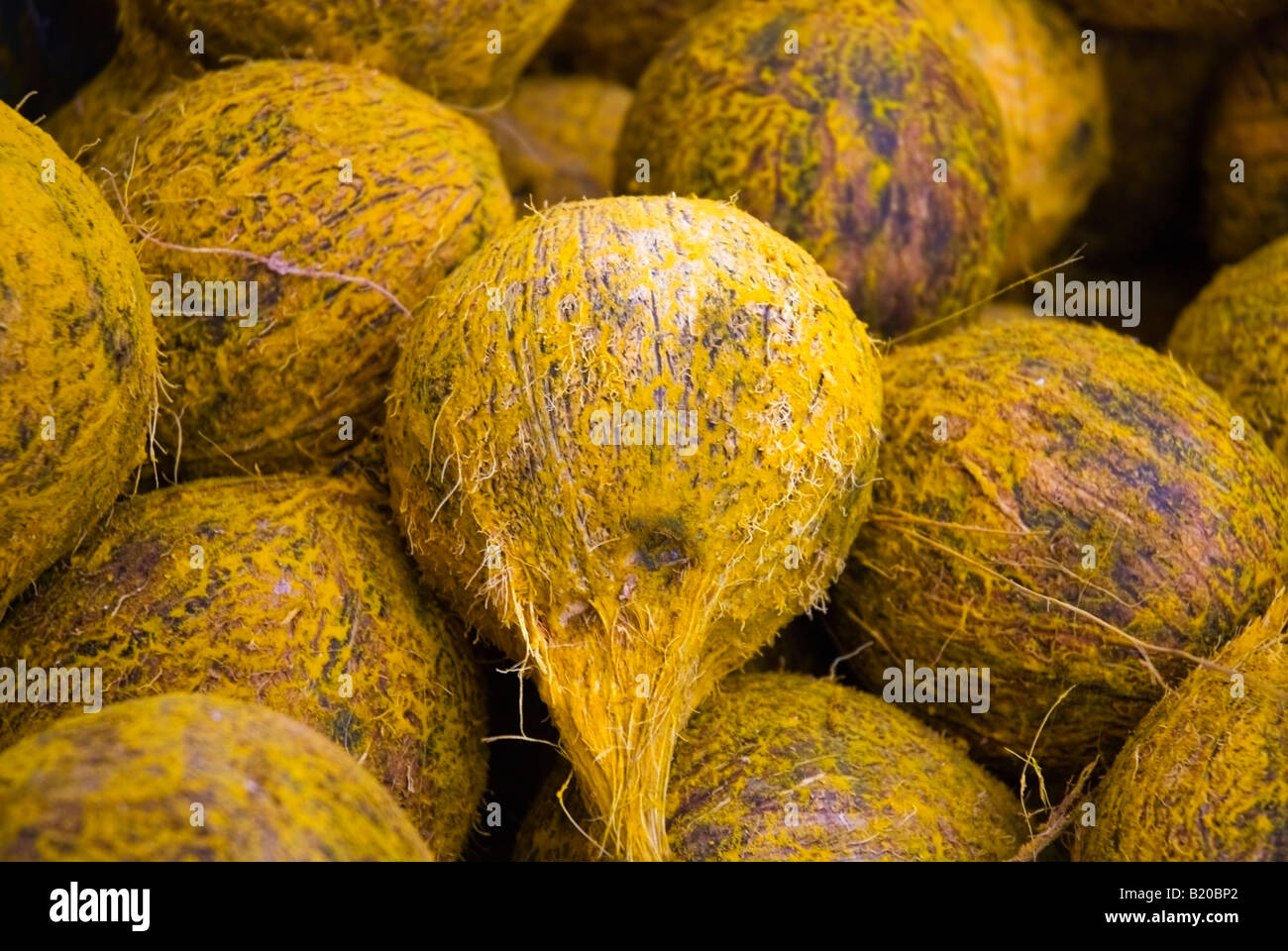 Coconuts on a Market stall in Singapore Stock Photo