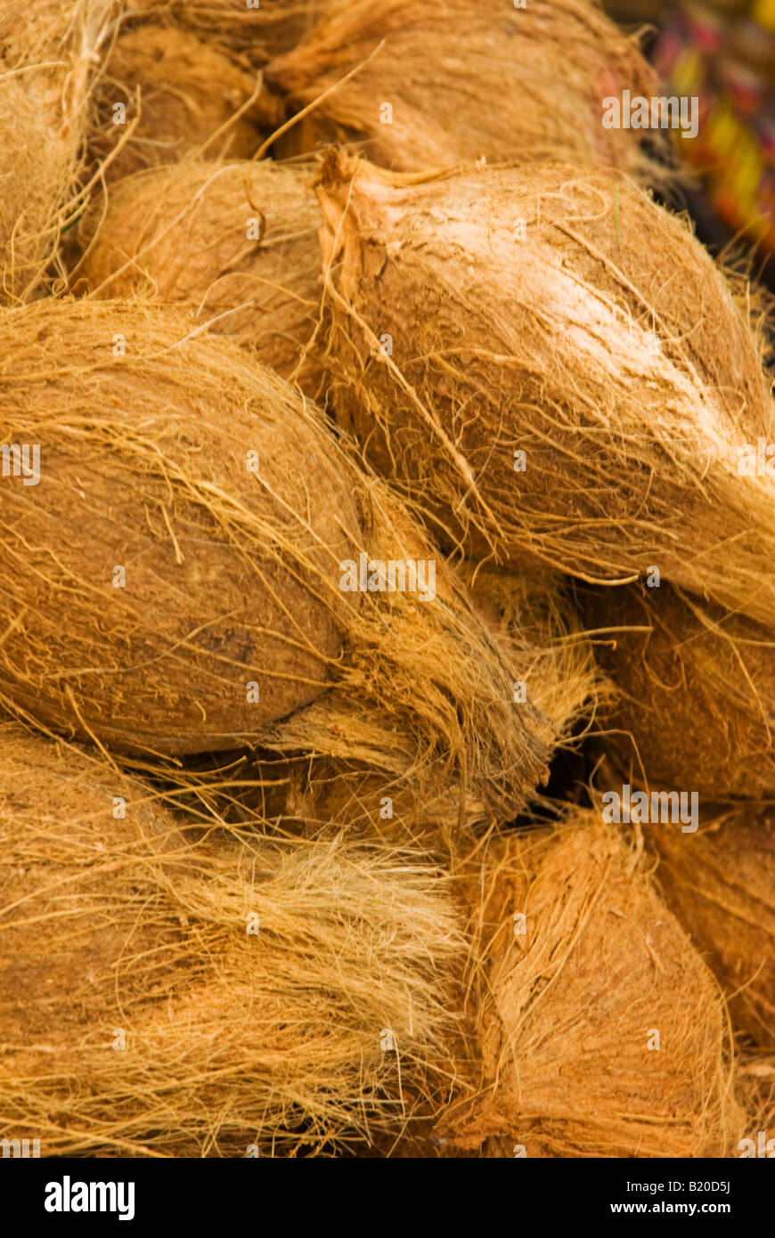 Coconuts on a market stall in Singapore Stock Photo
