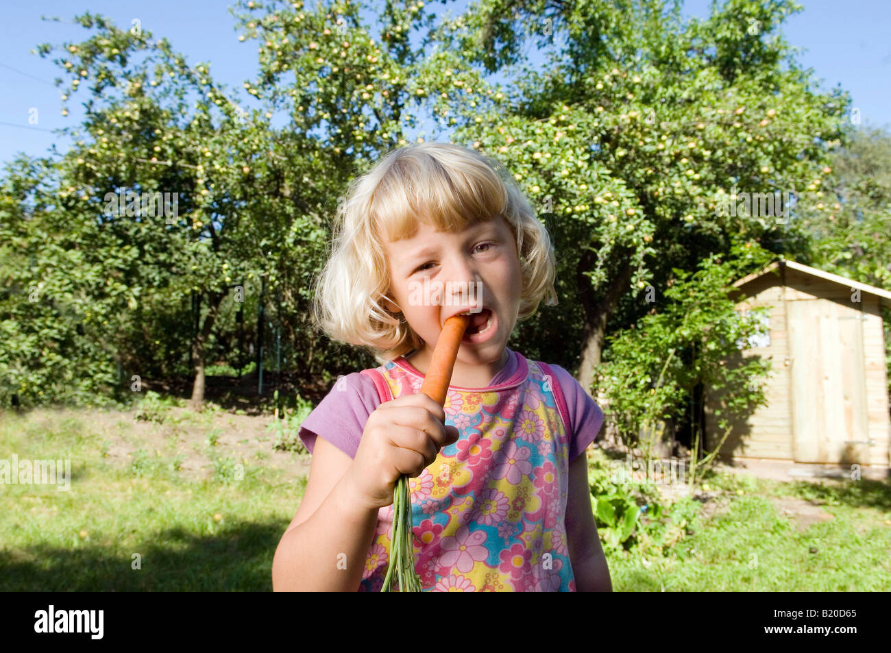 Kid eating a carrot Stock Photo - Alamy