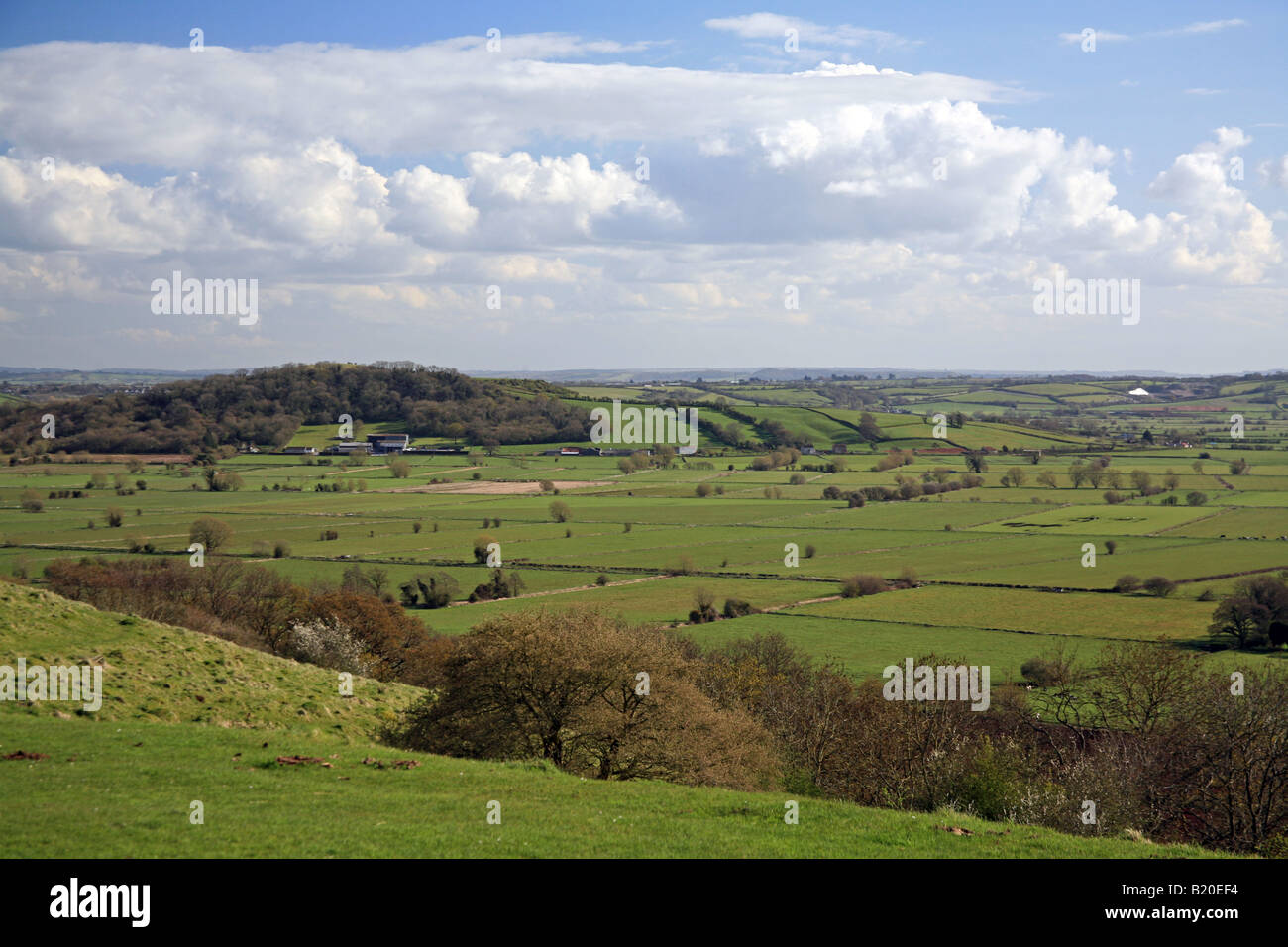Looking south across the Somerset Levels from Walton Hill Somerset UK Stock Photo