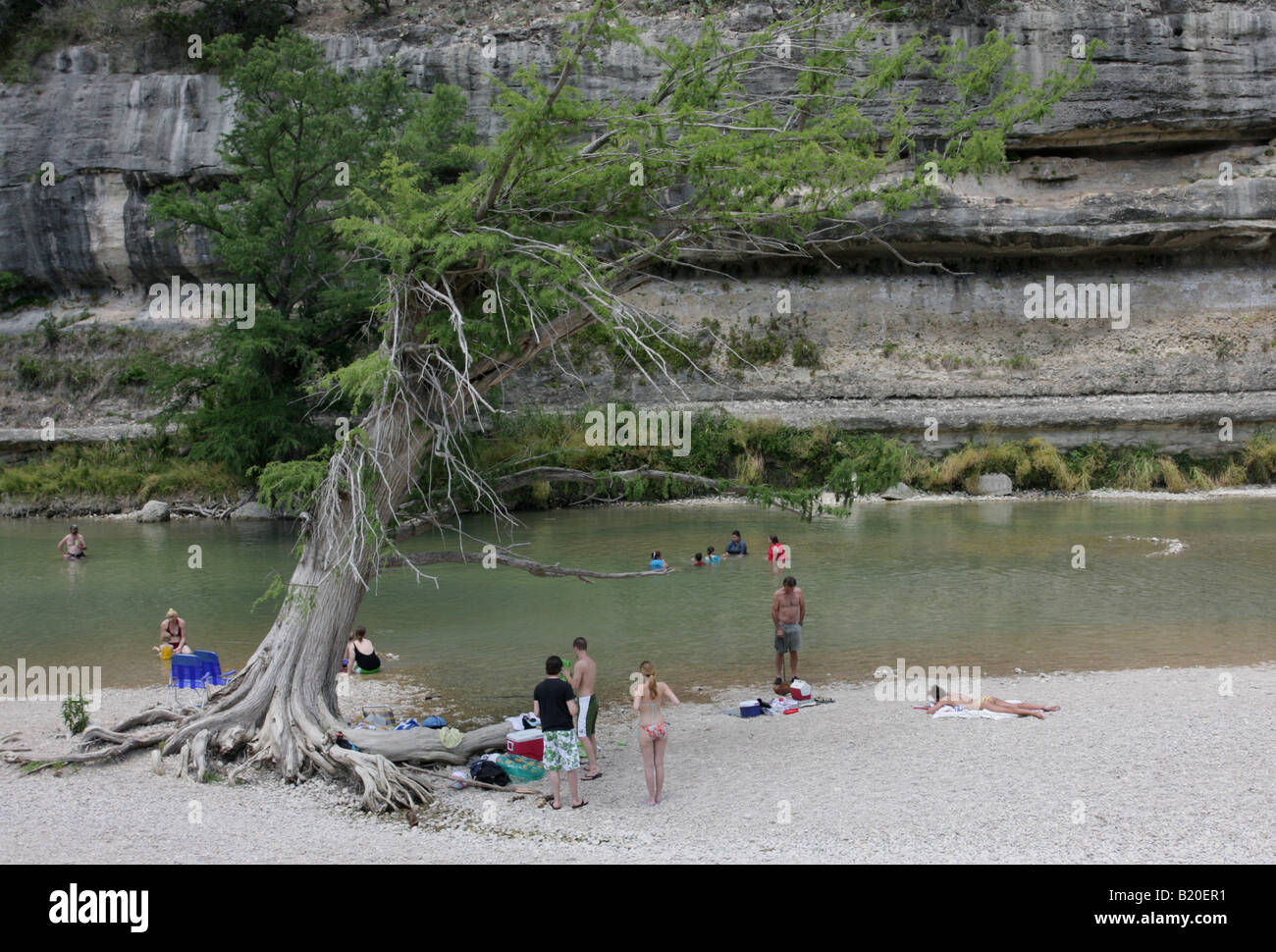 Swimming Guadalupe River State Park Texas Stock Photo 18451301
