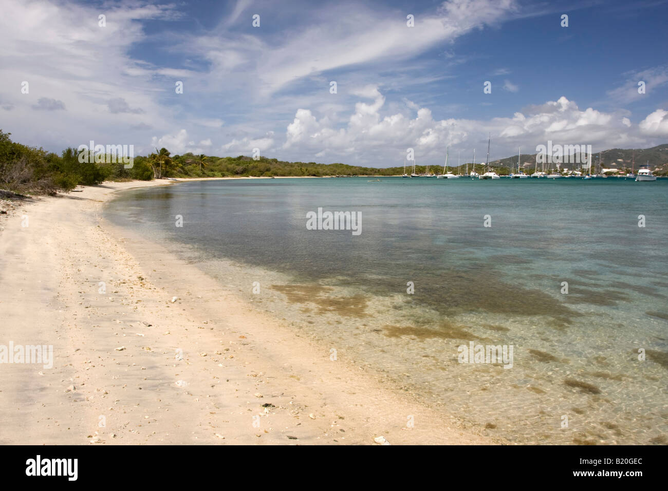 sandy beach around a yacht anchorage in the Caribbean Stock Photo - Alamy